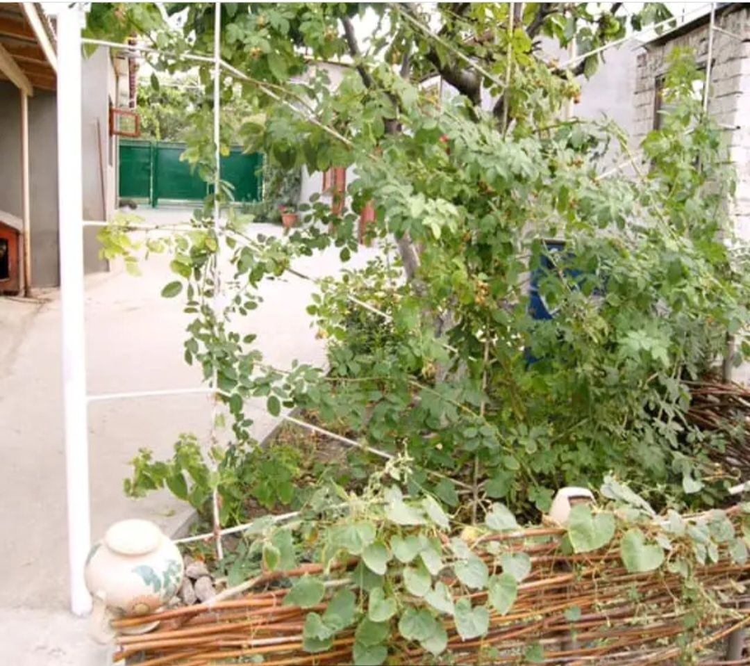 Продам дом 60м2 васильковка синельниковский рн