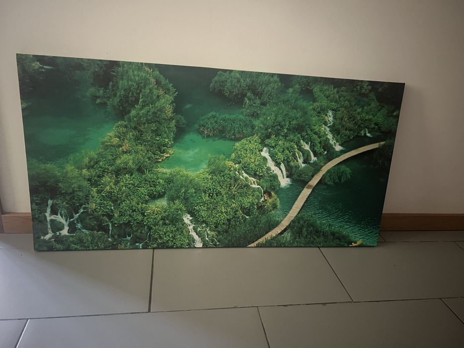 Quadro com motivo floresta tropical