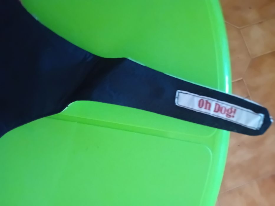 Capa de festa p/cadela XS semi nova