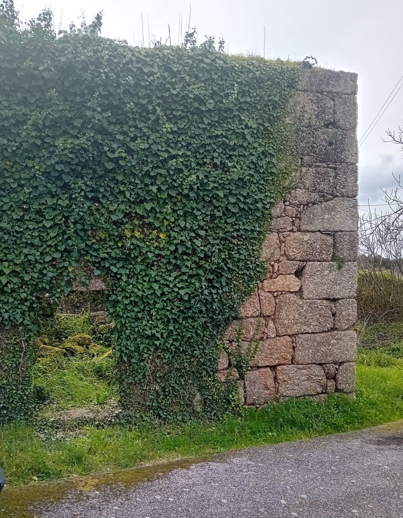 Moradia em ruínas para reconstrução