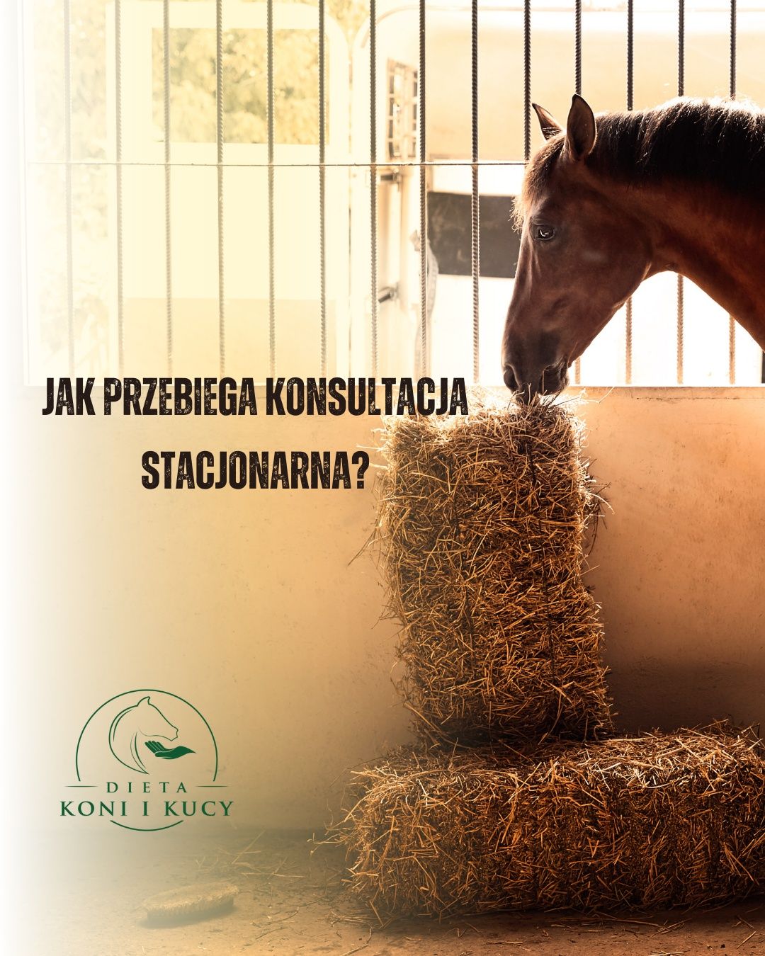 Doradztwo żywieniowe dla koni