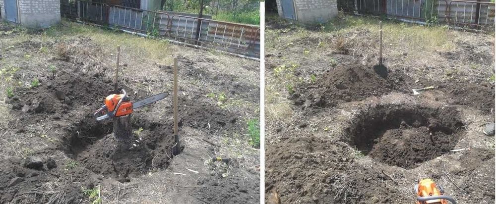 Корчевание пней Утилизация веток Спил деревьев Расчистка дач домов