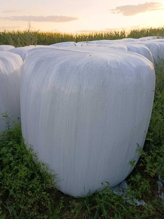 Sianokiszonka tegoroczna