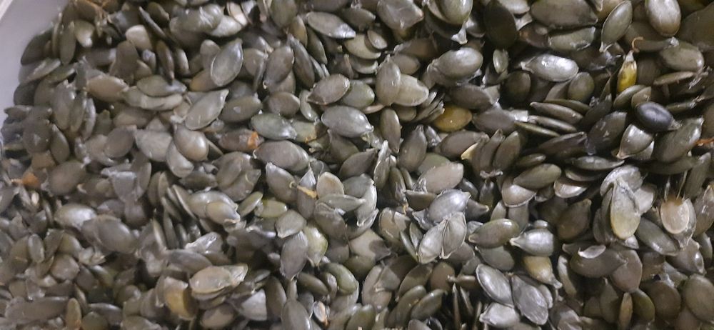 Продам насіння голе гарбузове 2025