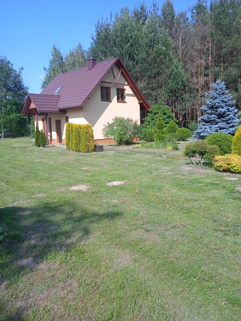 Domek Całoroczny