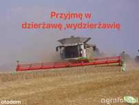 Wydzierżawię grunty rolne