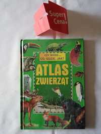 książka "atlas zwierząt" Ewa Miedzińska