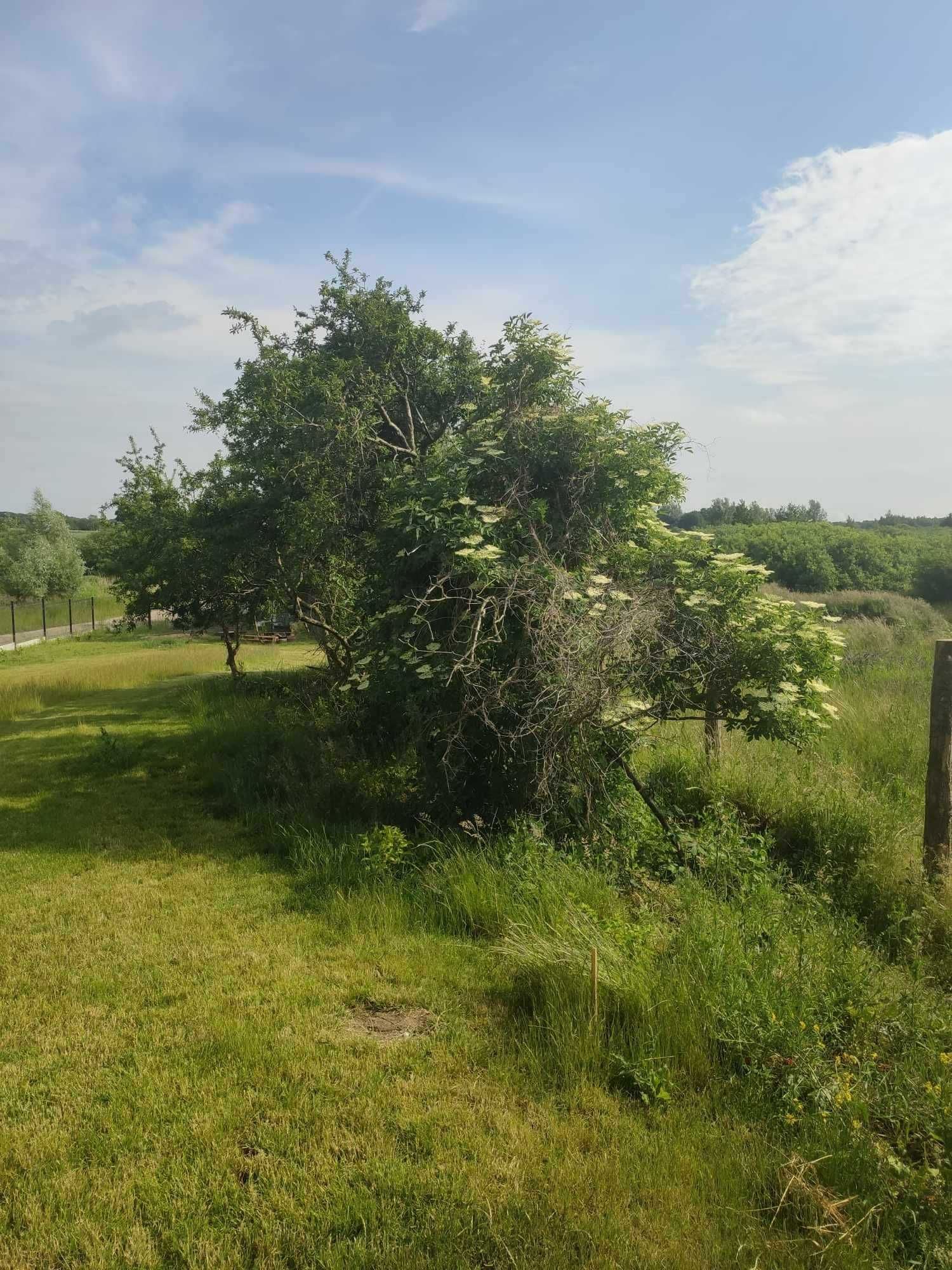 Domek nad morzem. Spokojne miejsce z widokiem na torfowiska.