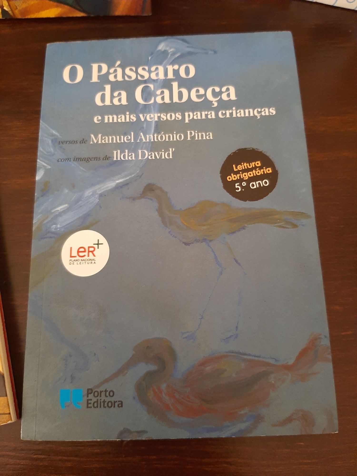 Livros Leitura obrigatória 5° e 6° anos