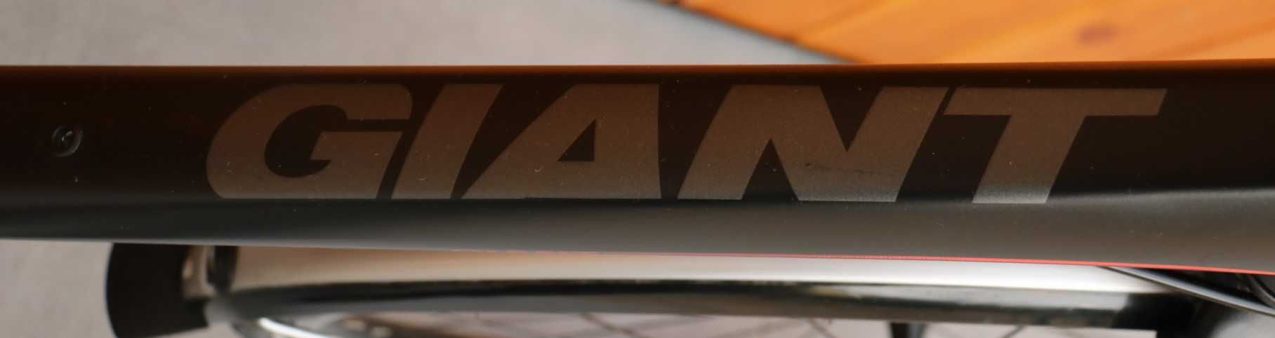 Rower męski Giant Aero. H 55. I inne rowery z Holandii