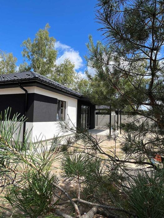 Одноповерховий будинок біля лісу Дмитрівка