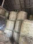 Siano w belach  120/120