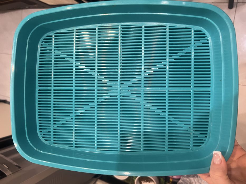 Лоток для котят