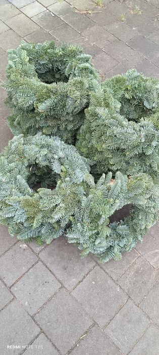 Wianki z jodły nobilis i nordmann