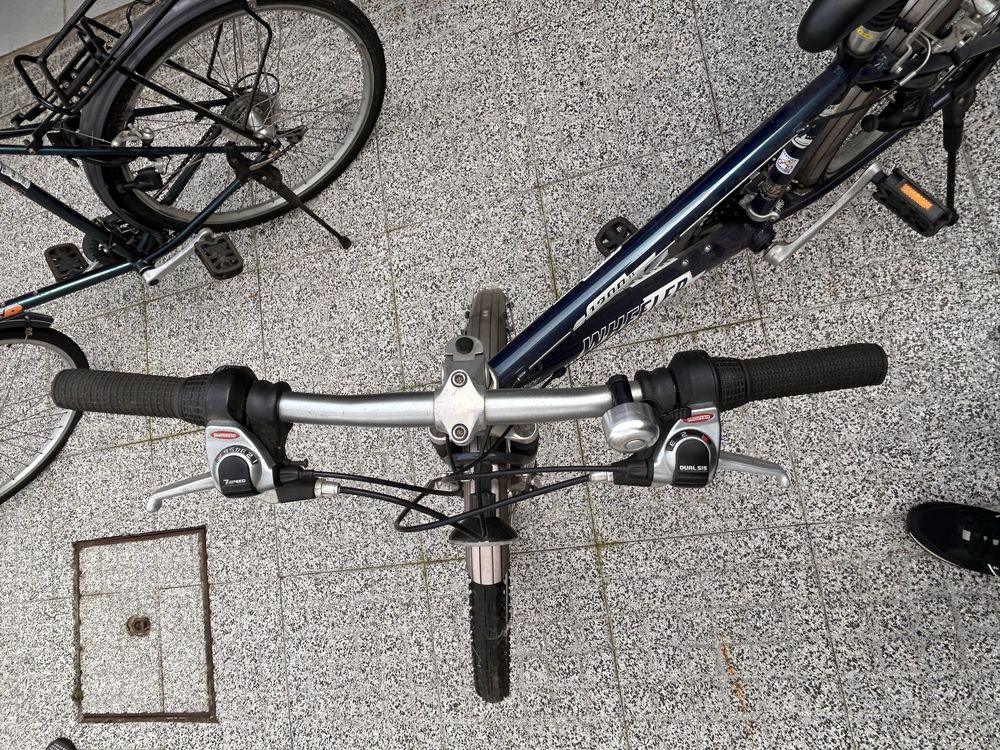 Vendo 2 bicicletas Wheller 1200