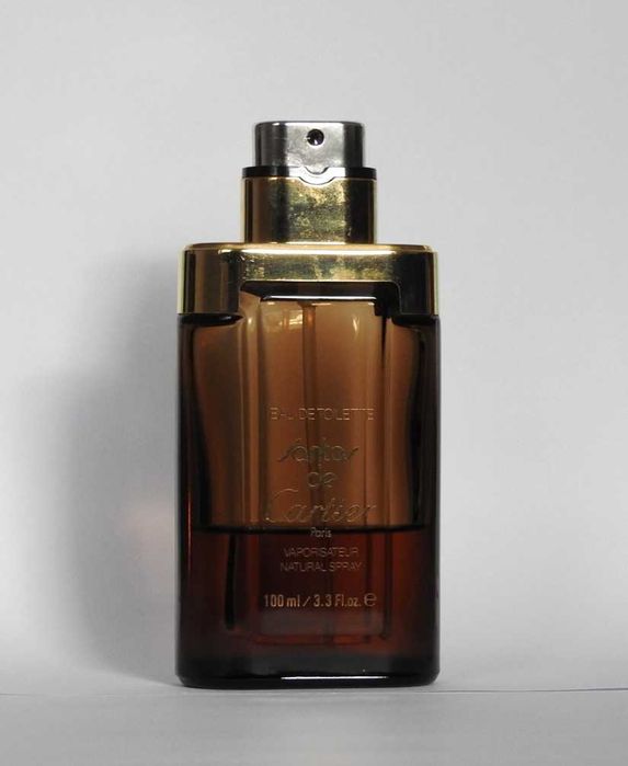 Cartier Santos de Cartier EDT flakon 100 ml
