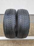 Opony zimowe RIKEN Cargo Winter 225/65 16C 112/110R DOT 2021 PARA P394