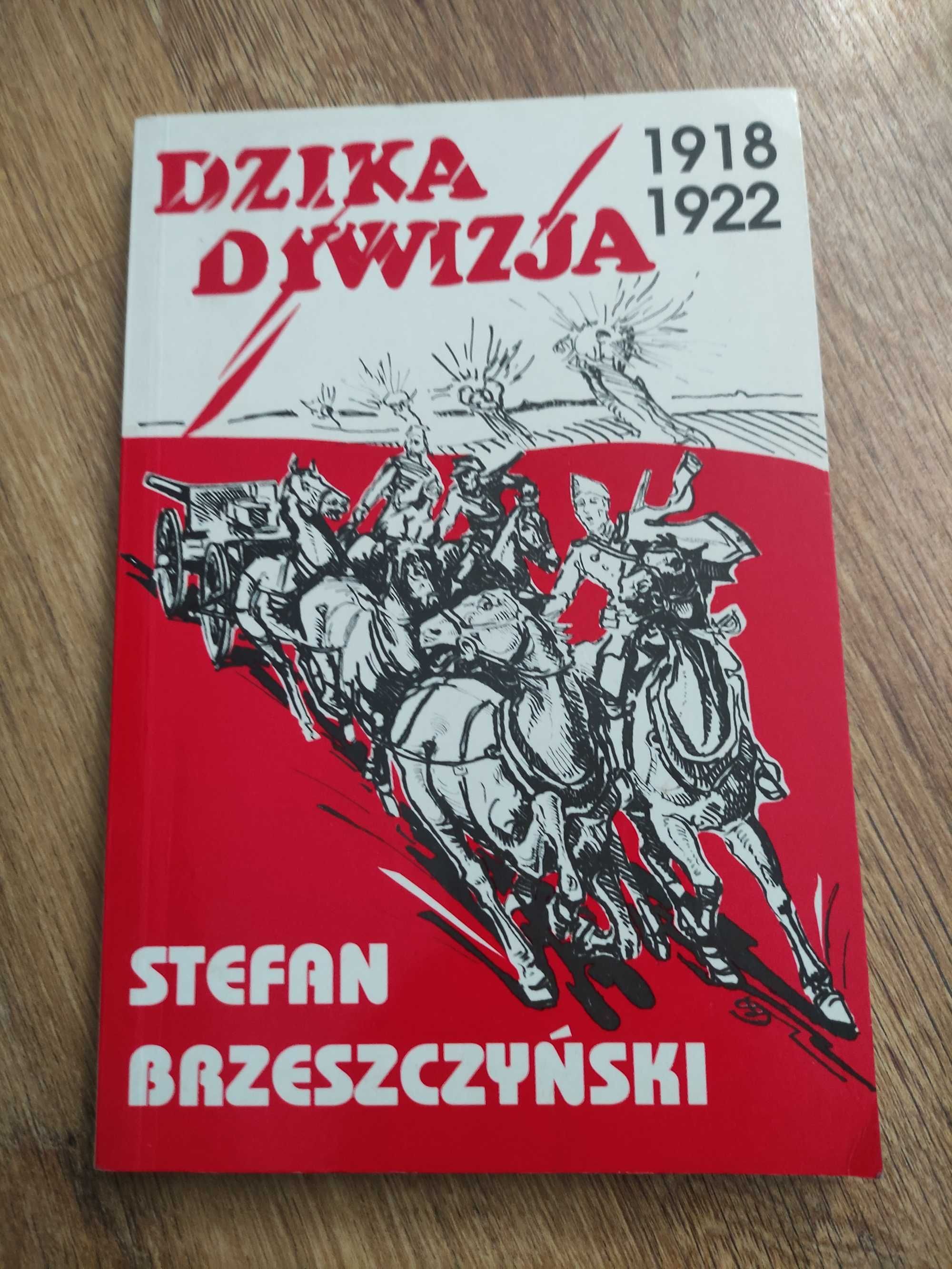 Stefan Brzeszczyński Dzika dywizja