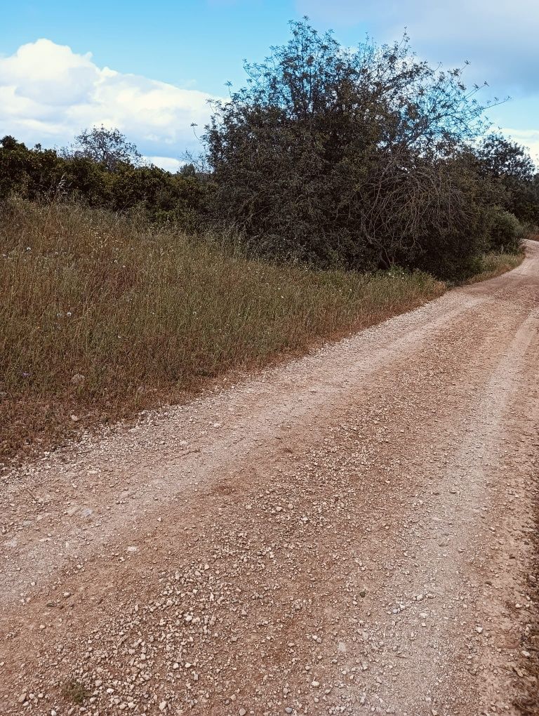 Vendo terreno agrícola