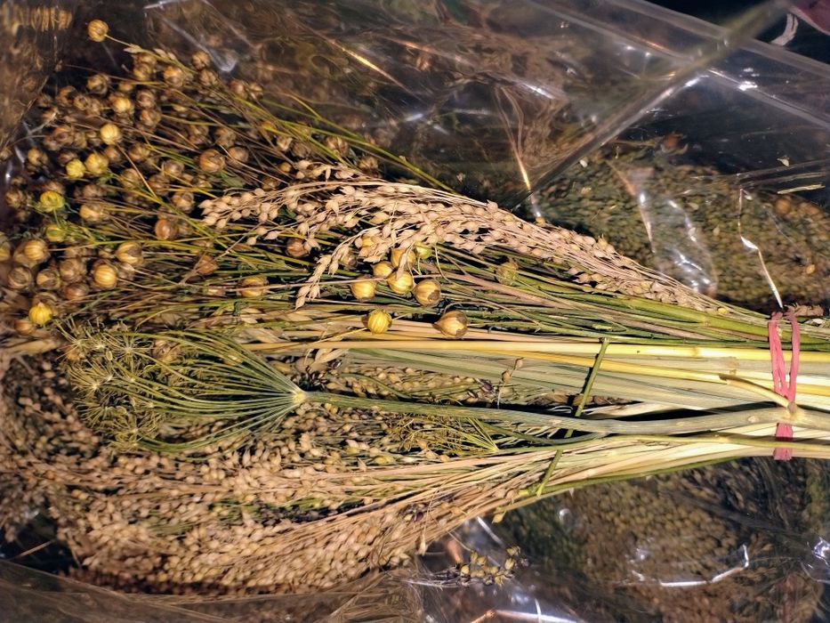 Zestaw kłosów 500g