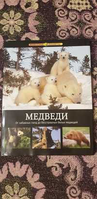 Книга Животные планеты Энциклопедия Медведи Кристина Курвен