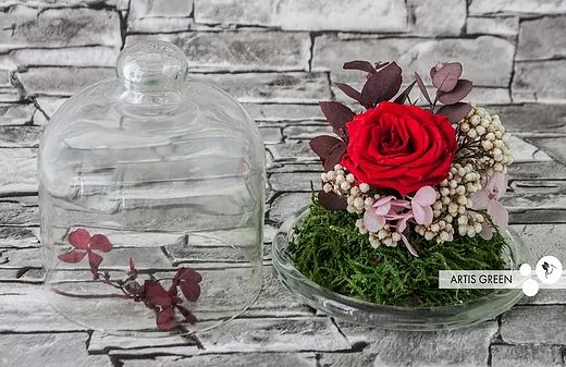Подарок с долговечной розой девушке/Міні-колба з червоною трояндою
