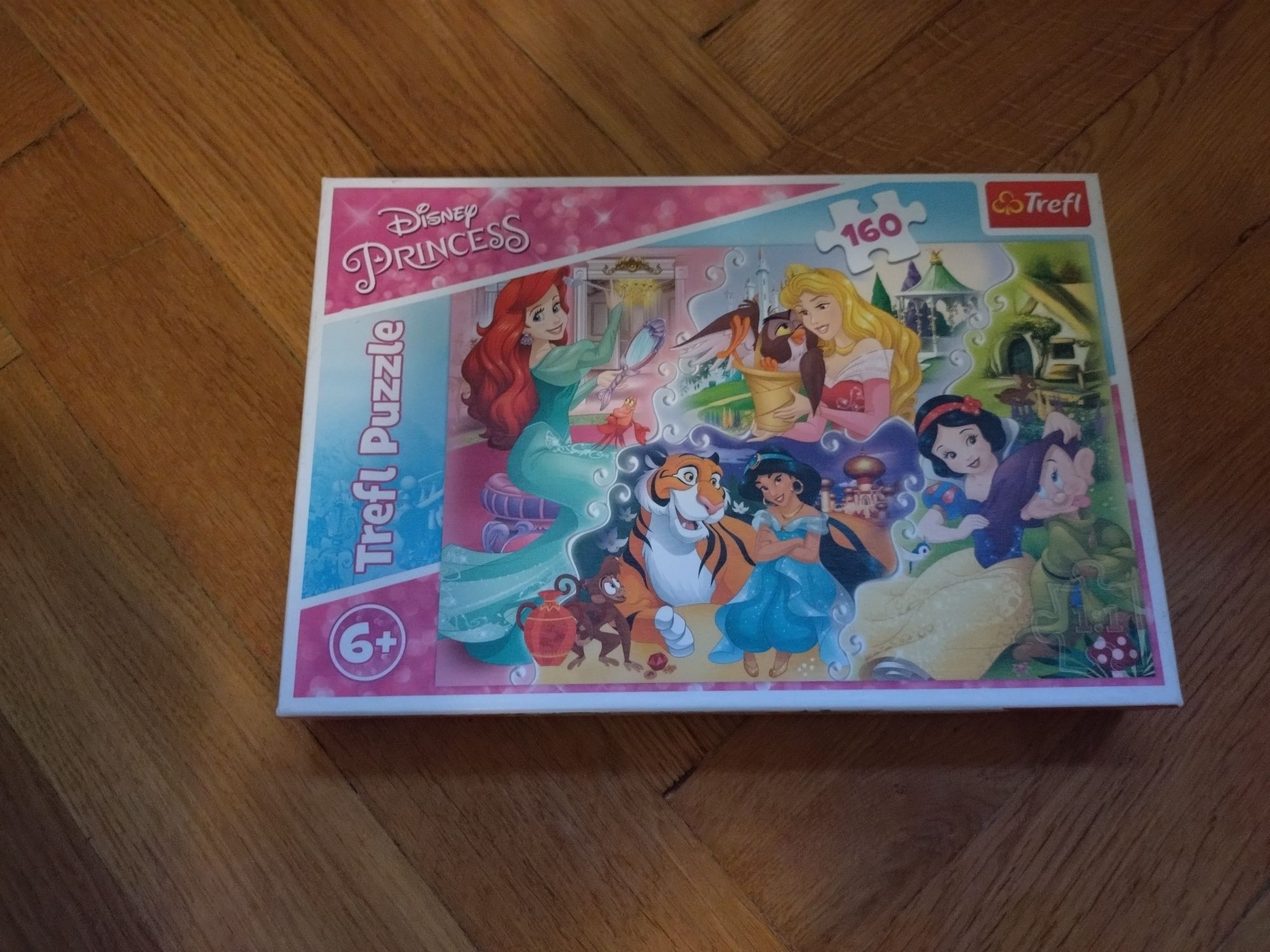 Zestaw 6: puzzle Księżniczki 100 - 160 -200 - 260 elementów