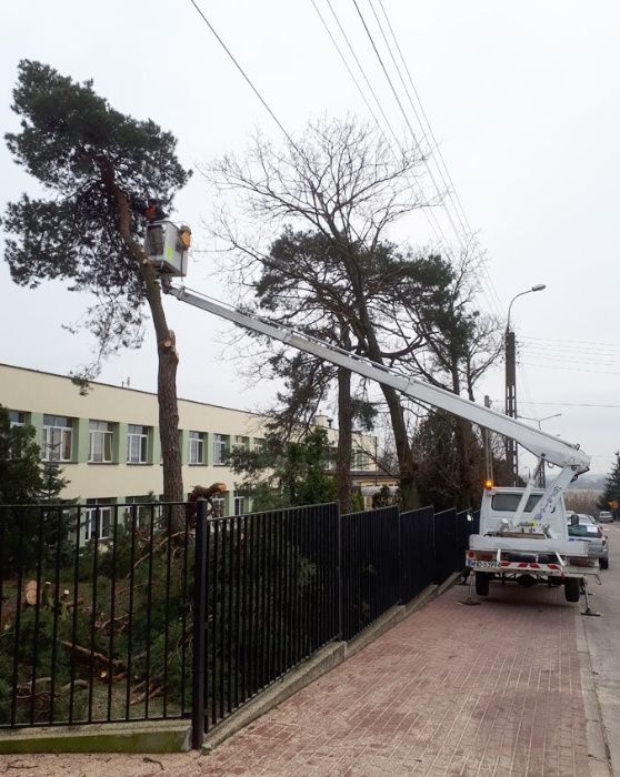 Wycinka drzew, czyszczenie działek, Usługa rębakiem. Podnośnik koszowy