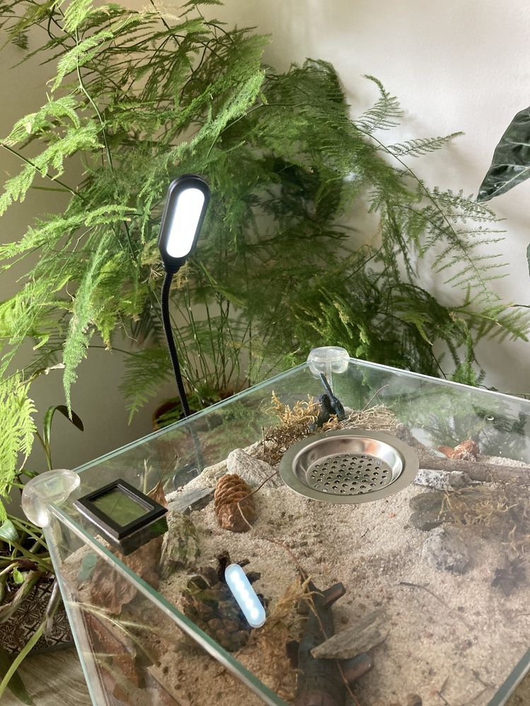 Formikarium 19 l.