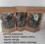 Jasnota purpurowa suszona 20 g.