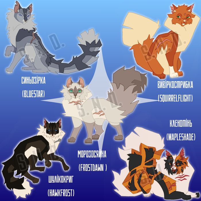 Коти вояки, коты воители, warriors, warriors cats