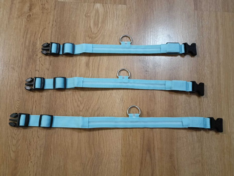 Obroża dla psa kota s m l