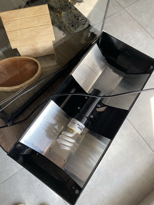 Терариум для животных