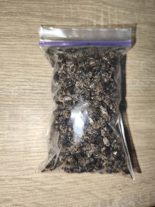 Пчелиный подмор сухой