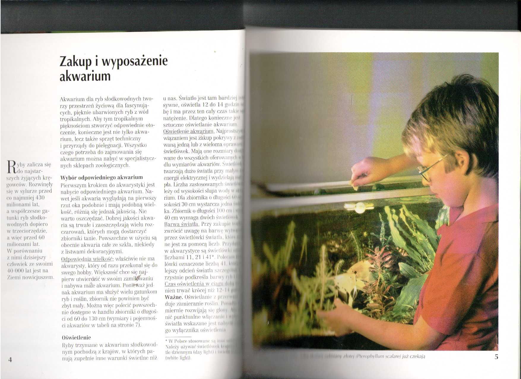 Akwarium Peter Stadelmann