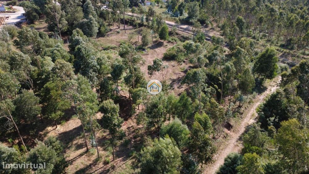 Terreno para Loteamento – Rio Meão, Santa Maria da Feira