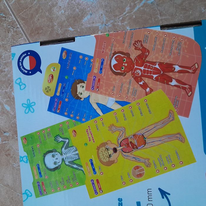 Plakaty edukacyjne z częściami ciała