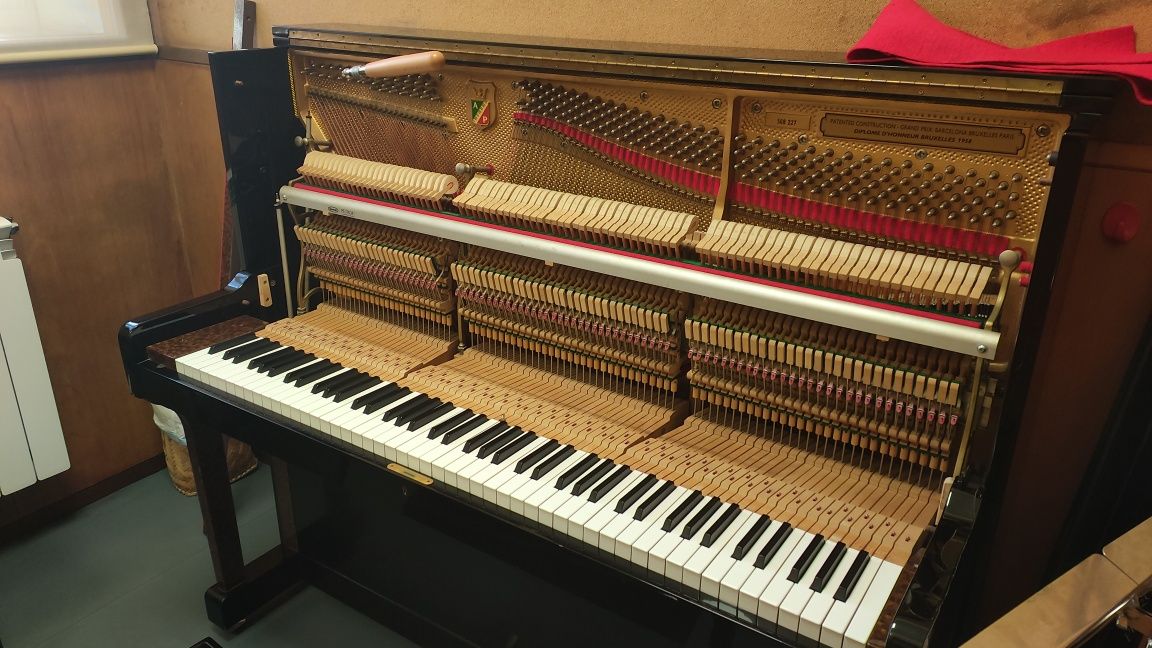 Técnico afinador de pianos