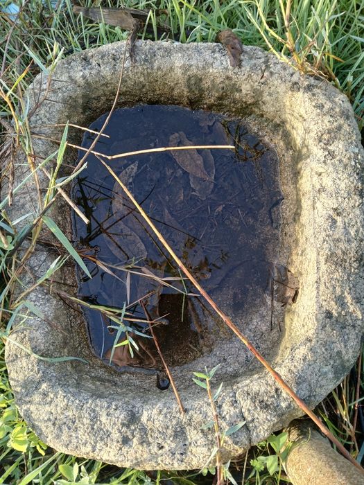 Pias e fontanários antiguidades