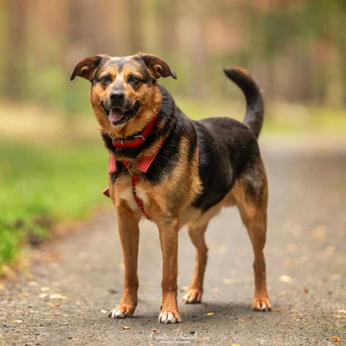 Skryty Borek czeka na Ciebie...