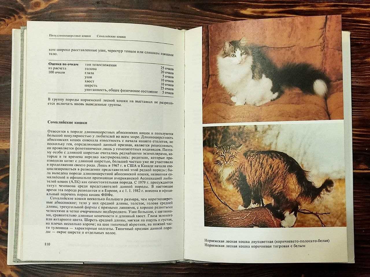 Подарункова книга Атлас пород кошек