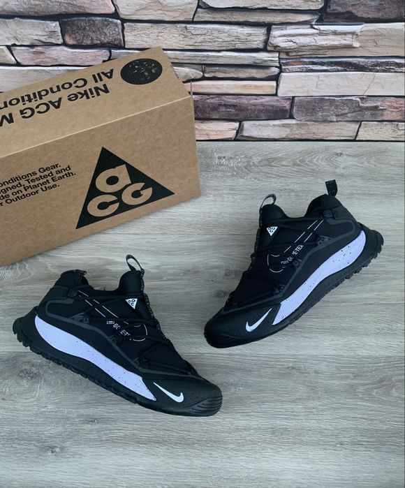 Кросівки Nike ACG Mountain Fly Gore-Tex | Nike ACG Terra Antarktik