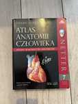 Netter Atlas Anatomii Człowieka po polsku