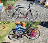 9 bicicletas rodas 26 polg. e uma pasteleira rodas 28 polg. 40€ a 125€