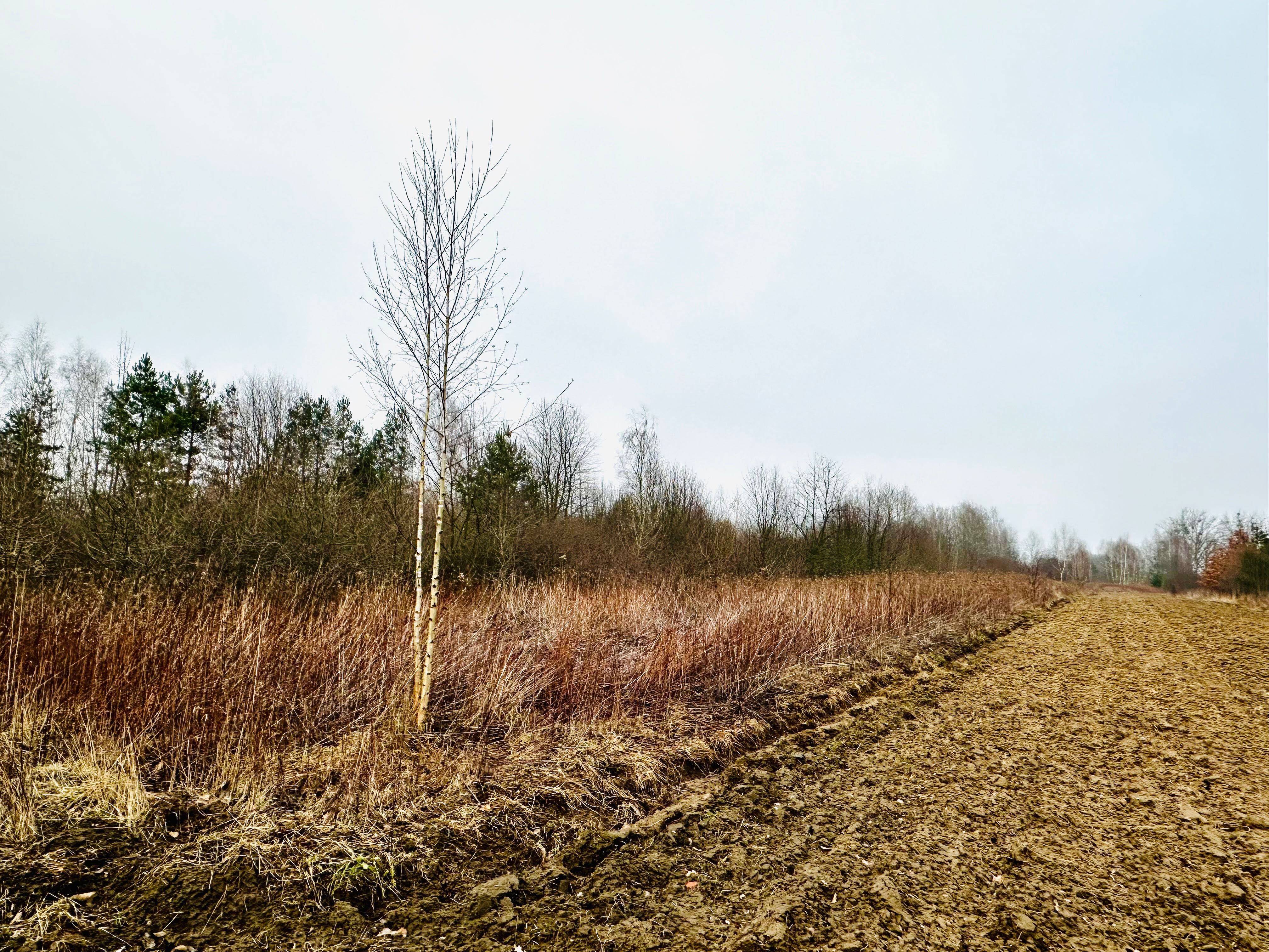 Działka rolna na sprzedaż 2800 m2 Wygoda Otwock Wielki