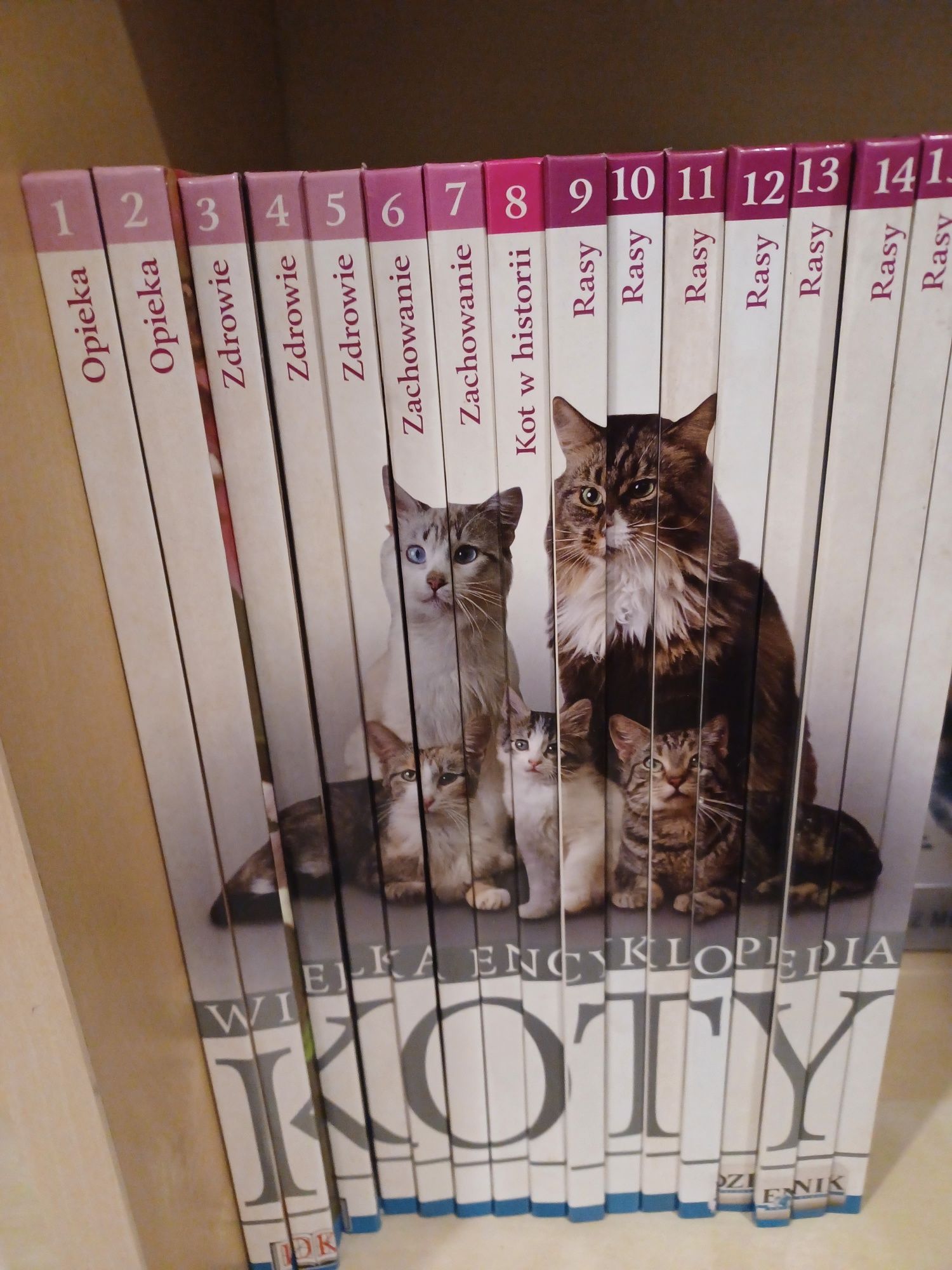Encyklopedia koty