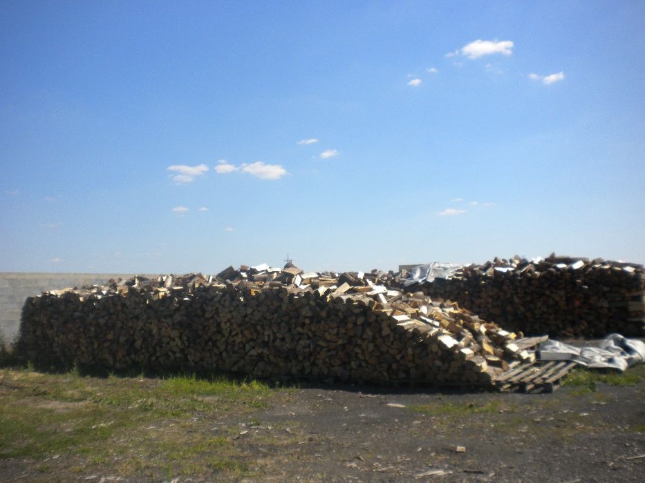 Drewno kominkowe