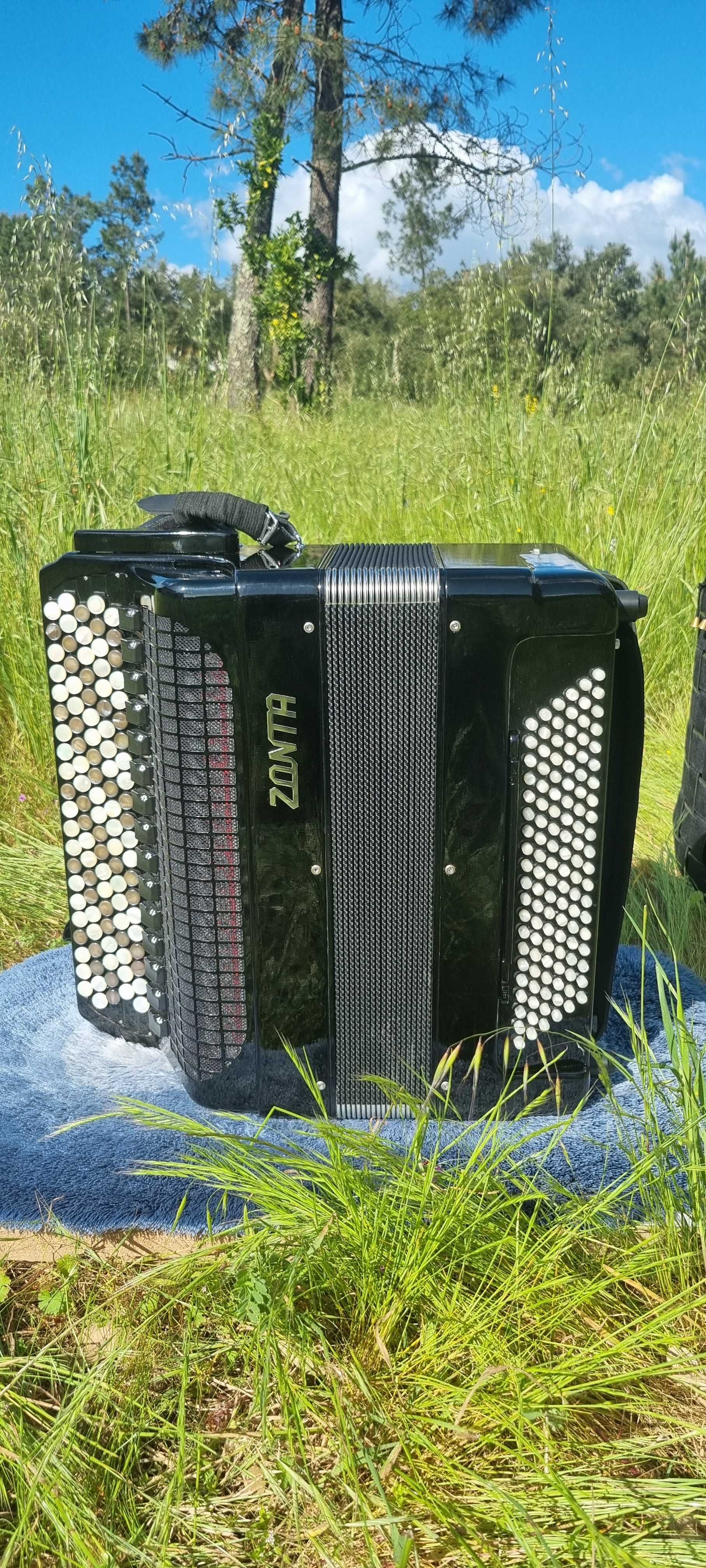 Acordeon Profissional russo (bayan)