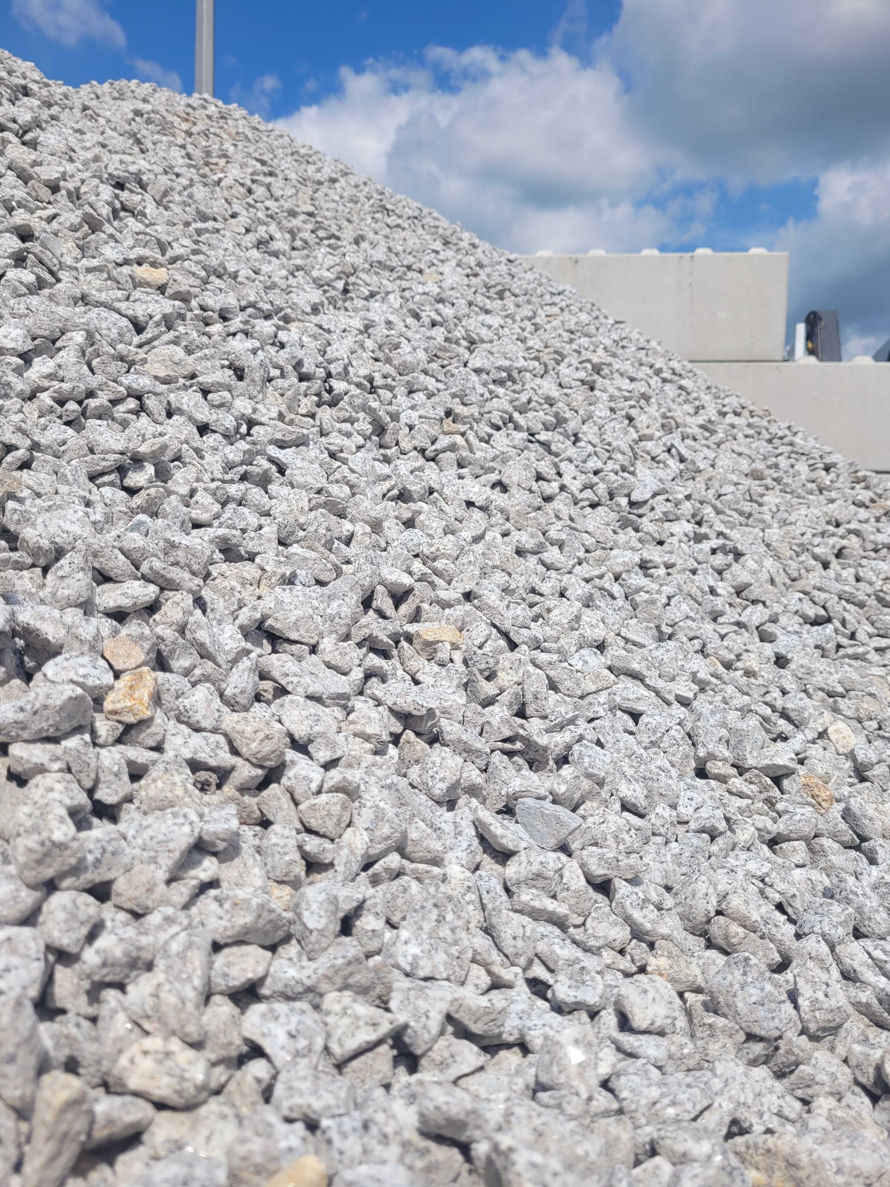 Grys granitowy, dalmatyńczyk