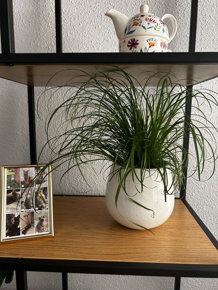 JAK NOWY Regał wysoki EXITIO w stylu Loft AGATA MEBLE